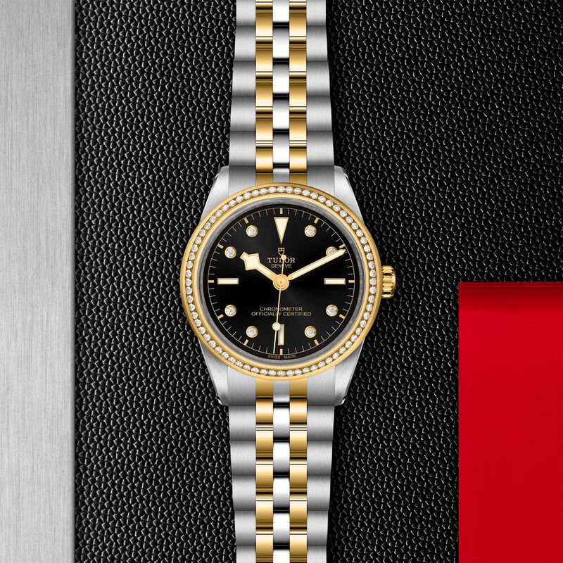 TUDOR Black Bay S&G Watch, 39MM image number 2
