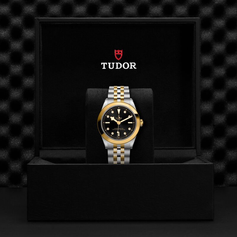 TUDOR Black Bay 39 S&G Black With Diamond Dial Watch, 39mm image number 4
