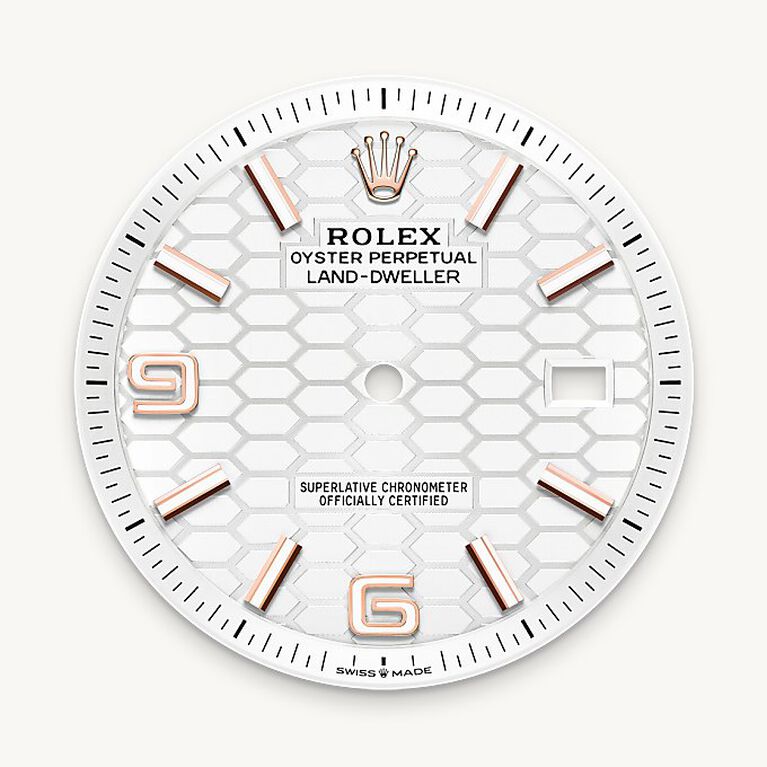 rolex land-dweller in 18 ct everose gold, m127335-0001 - intense white dial - ben bridge
