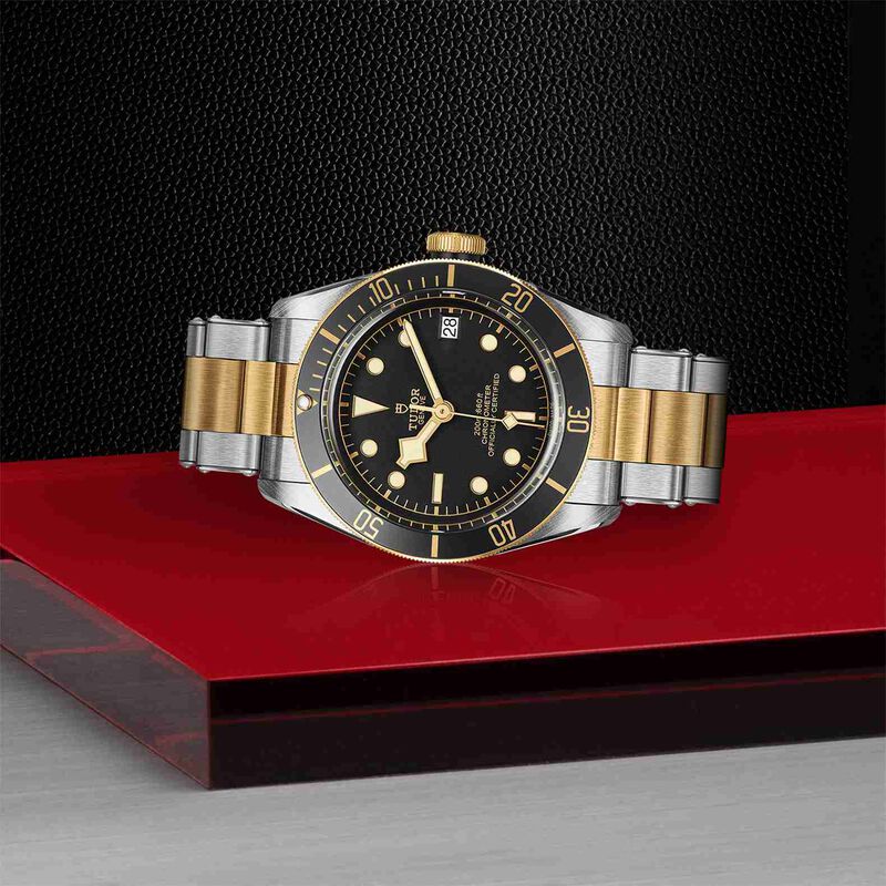 TUDOR Black Bay S&G Watch Steel Case Black Dial Steel And Gold Bracelet, 41mm image number 2