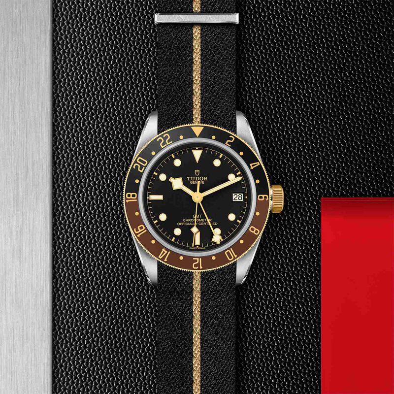 TUDOR Black Bay GMT S&G Watch Black Dial Black Strap, 41mm image number 3