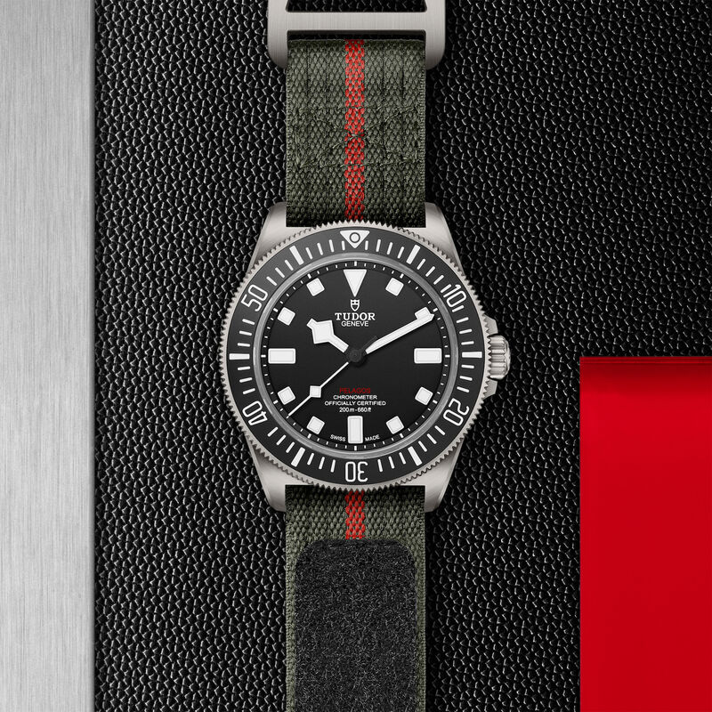 TUDOR Pelagos FXD Watch Black Dial, 42mm image number 2