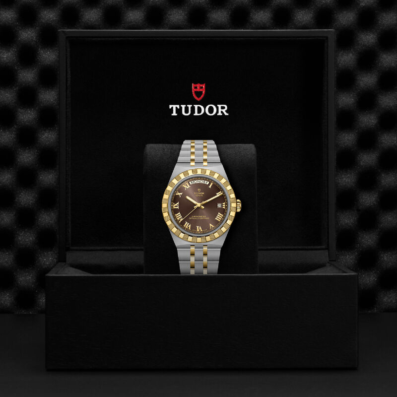TUDOR Royal Brown Dial Watch, 40mm image number 4