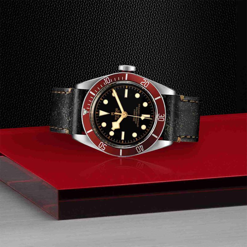 TUDOR Black Bay Watch, Steel Case Black Dial Brown Leather Strap, 41mm image number 2