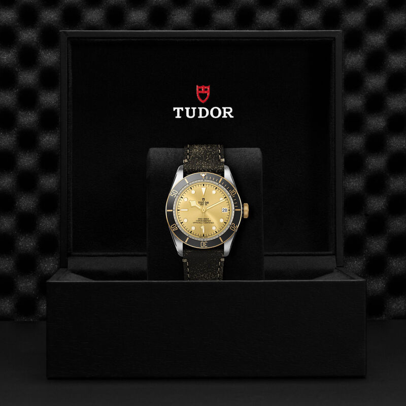 TUDOR Black Bay S&G 41 Gold Champagne Dial Leather Strap Watch, 41mm 