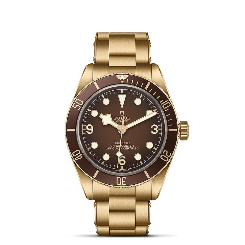 TUDOR Black Bay 58 Bronze Watch Brown Dial, 39mm image number 0