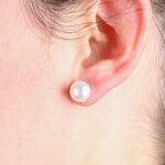 Cultured Freshwater Button Pearl Stud Earrings 14K