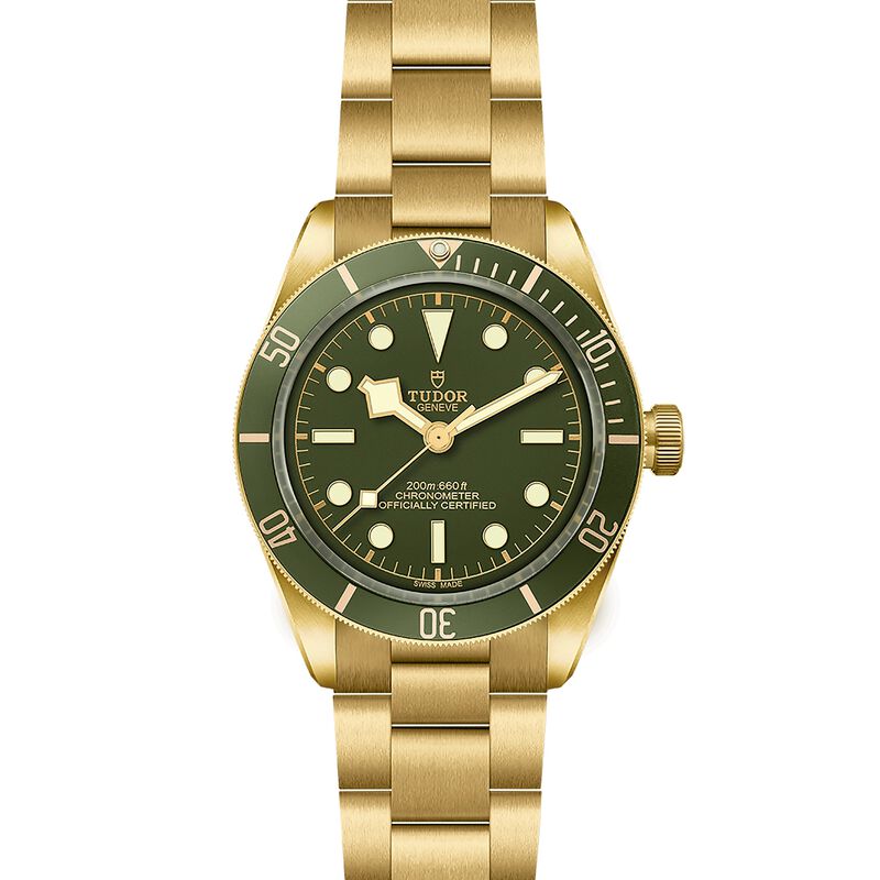 TUDOR Black Bay 58 18K Green Dial Watch, 39mm image number 1