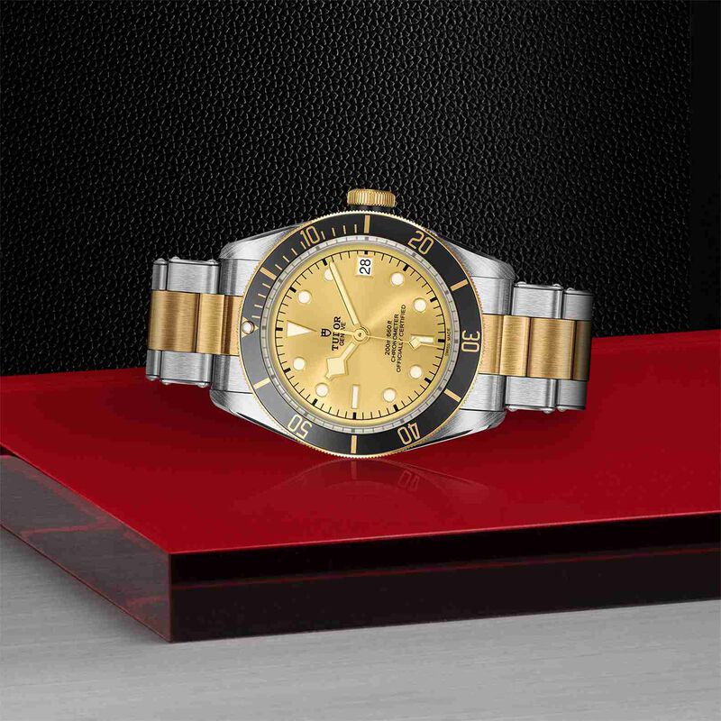 TUDOR Black Bay S&G Watch Steel Case Champagne Dial Steel And Gold Bracelet, 41mm image number 3