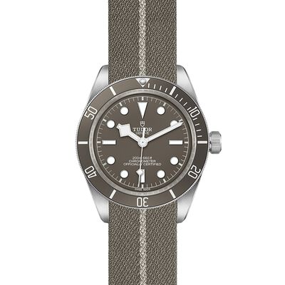 TUDOR Black Bay 58 925 Taupe Dial Watch, 39mm
