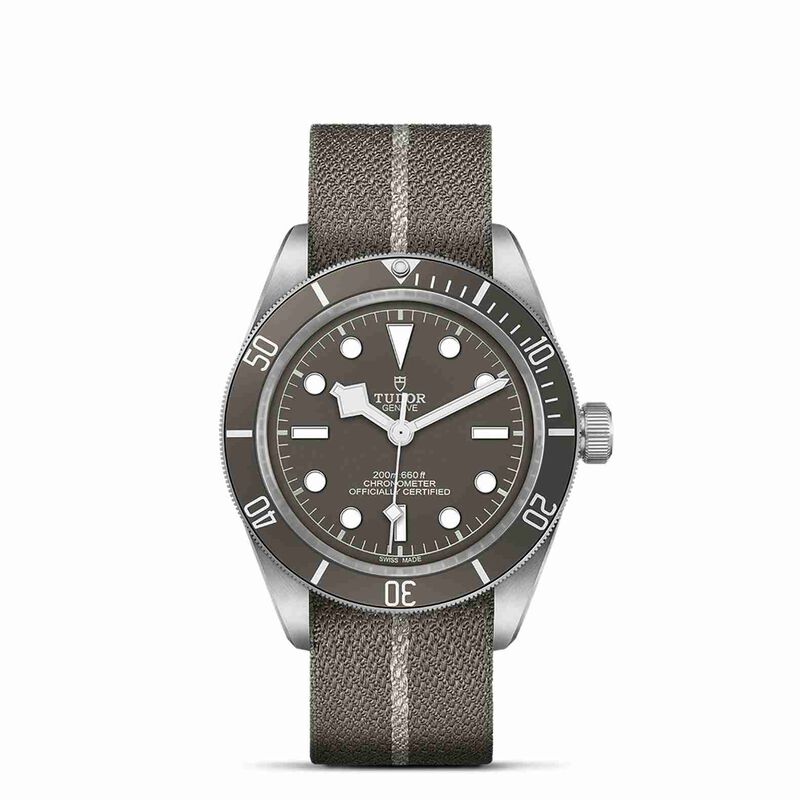 TUDOR Black Bay Fifty-Eight 925 Watch Silver Case Taupe Dial Fabric Strap, 39mm image number 1