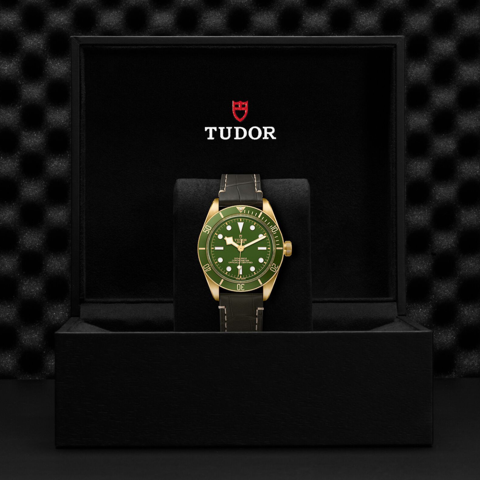 TUDOR Black Bay 58 18K Green Dial Watch, 39mm