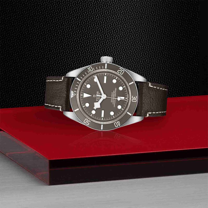 TUDOR Black Bay Fifty- Eight 925 Watch Silver Case Taupe Dial Leather Strap, 39mm image number 3
