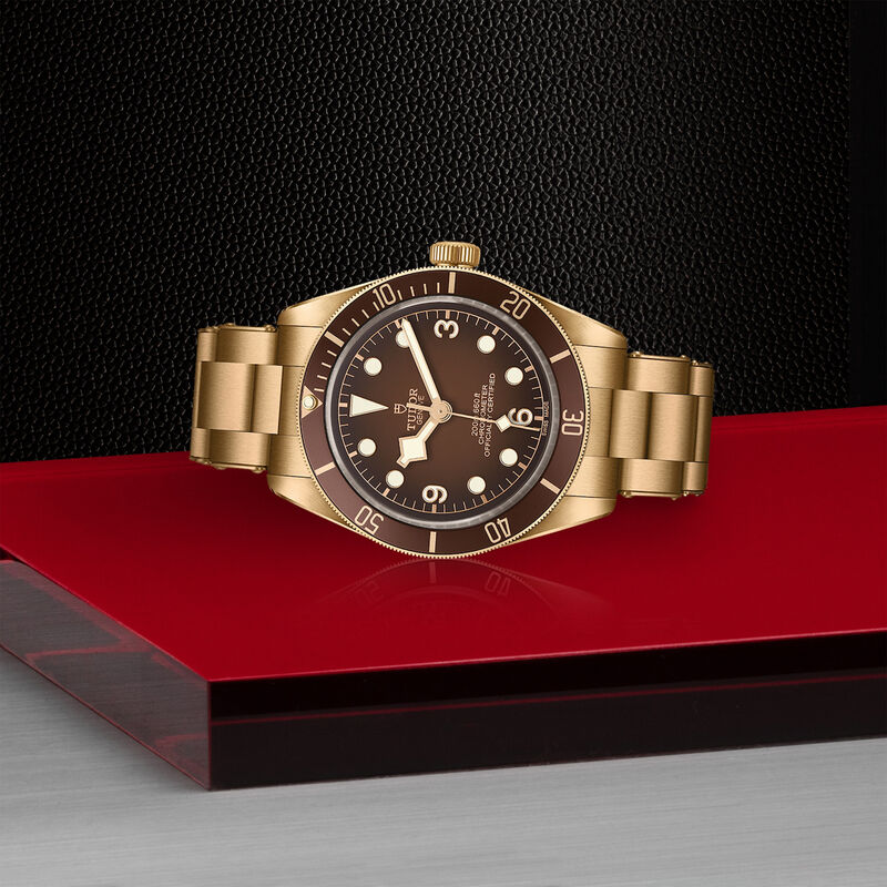 TUDOR Black Bay 58 Bronze Watch Brown Dial, 39mm image number 3