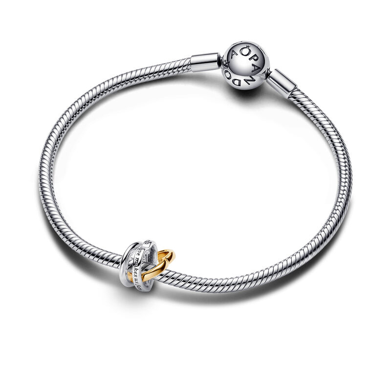 Pandora Two-tone Stepmum Entwined Hearts Charm image number 2