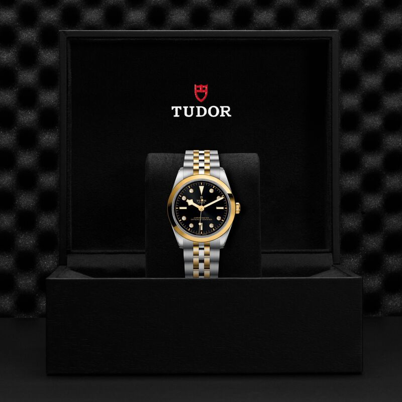 TUDOR Black Bay 36 S&G Watch, 36mm image number 4