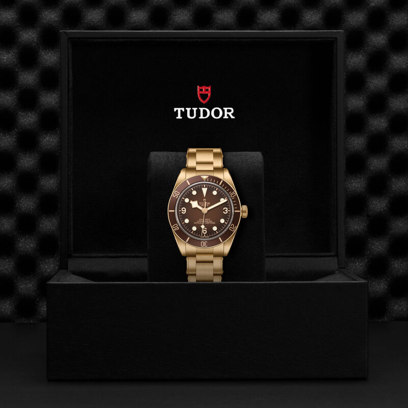 TUDOR Black Bay 58 Bronze Watch Brown Dial, 39mm image number 4