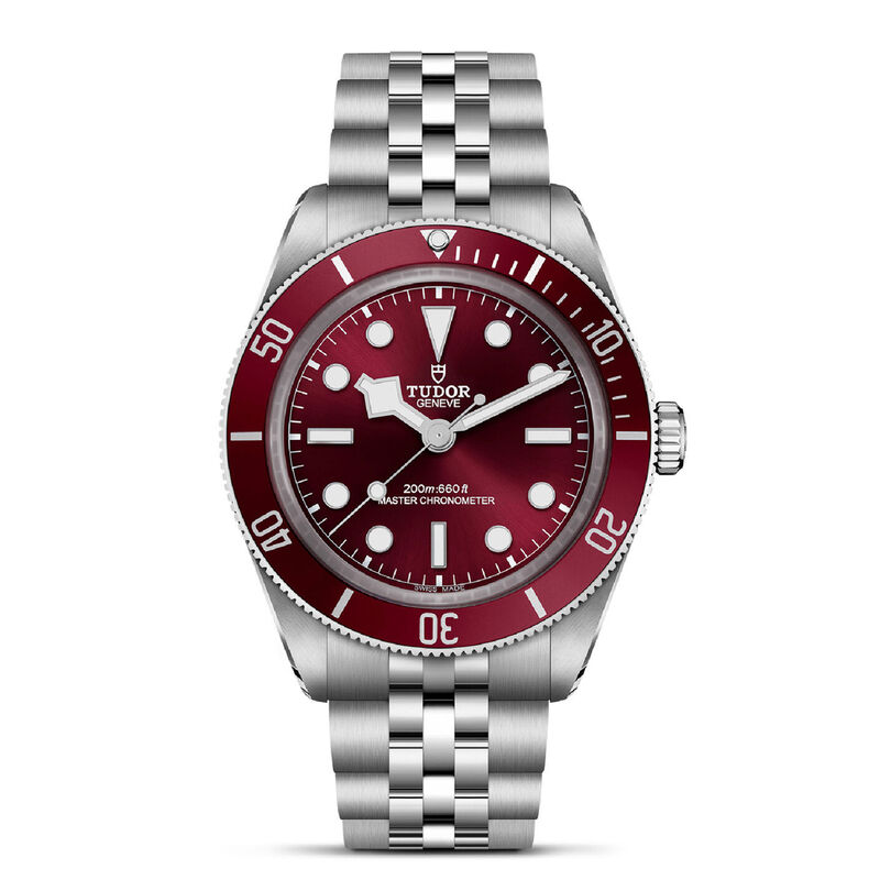 TUDOR Black Bay 58 Burgundy Dial Watch, 39mm image number 0