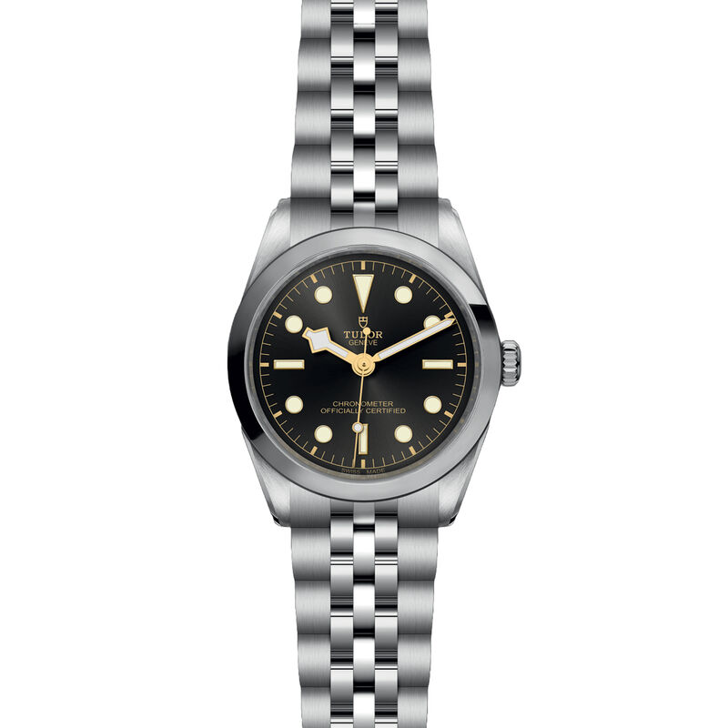 TUDOR Black Bay 36 Antracite Dial Watch, 36mm image number 1