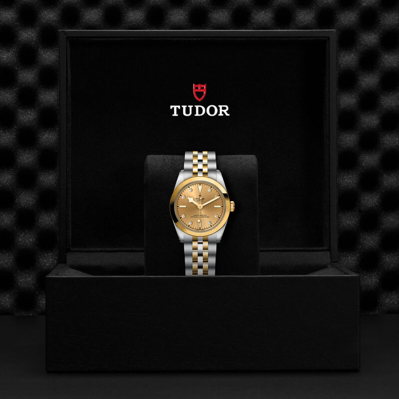 TUDOR Black Bay S&G Champagne Dial watch  31mm image number 4