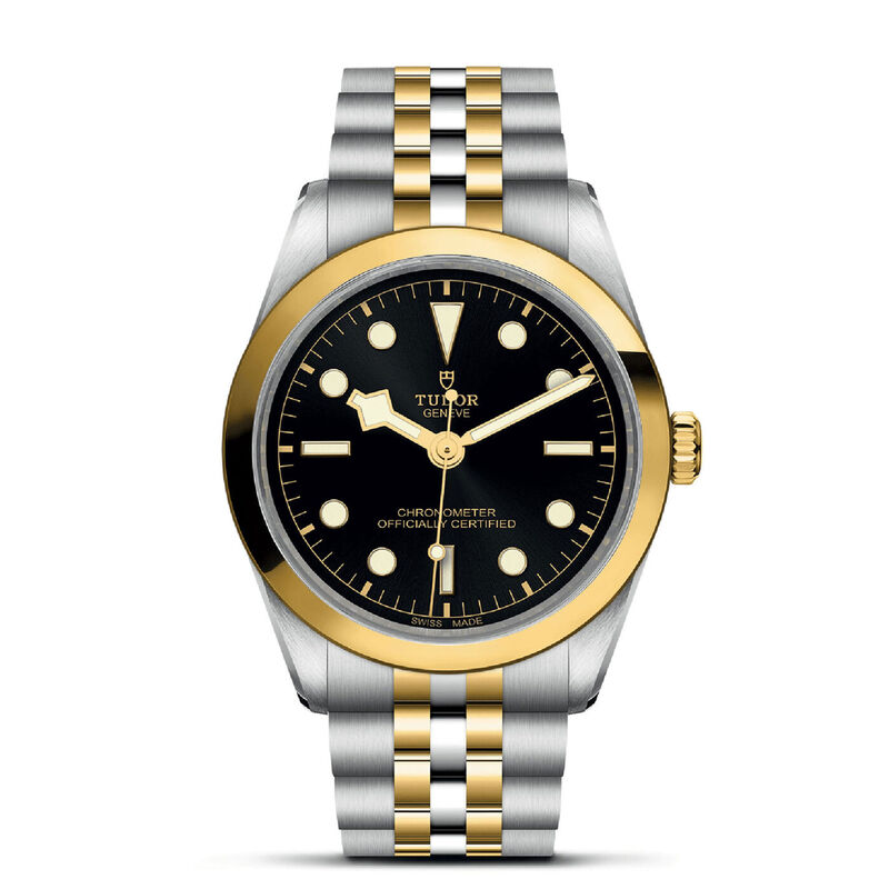 TUDOR Black Bay 36 S&G Watch, 36mm image number 0