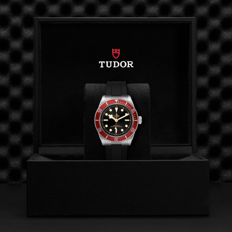 TUDOR Black Bay Watch Black Dial Chronometer, 41mm image number 4
