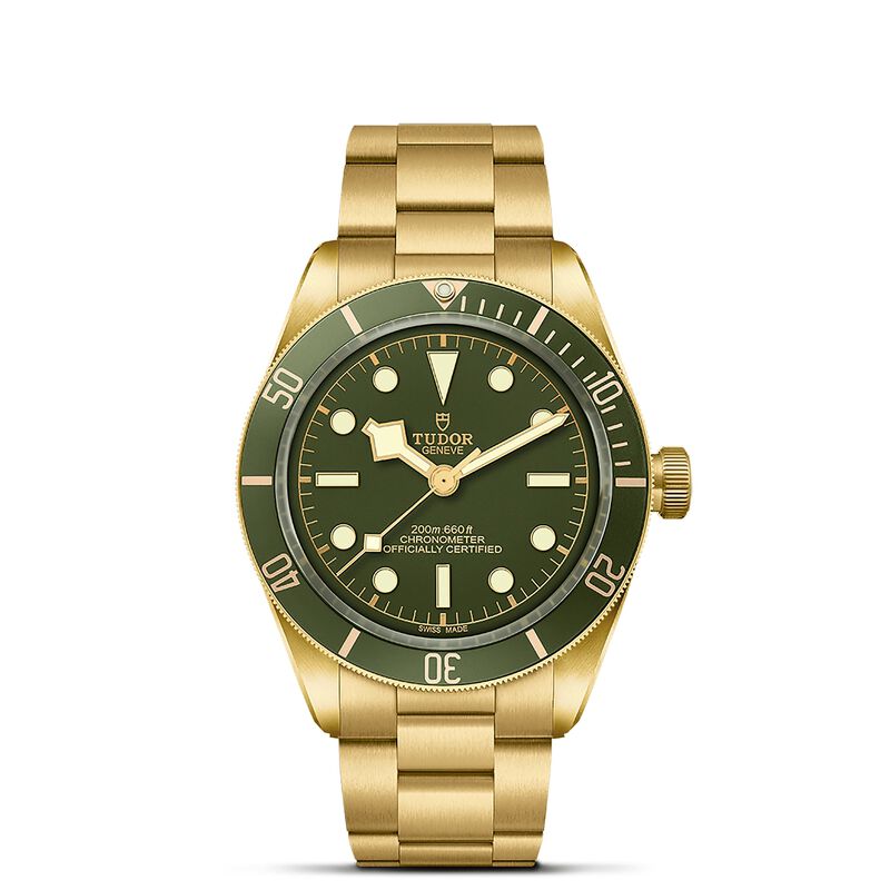 TUDOR Black Bay 58 18K Green Dial Watch, 39mm image number 0