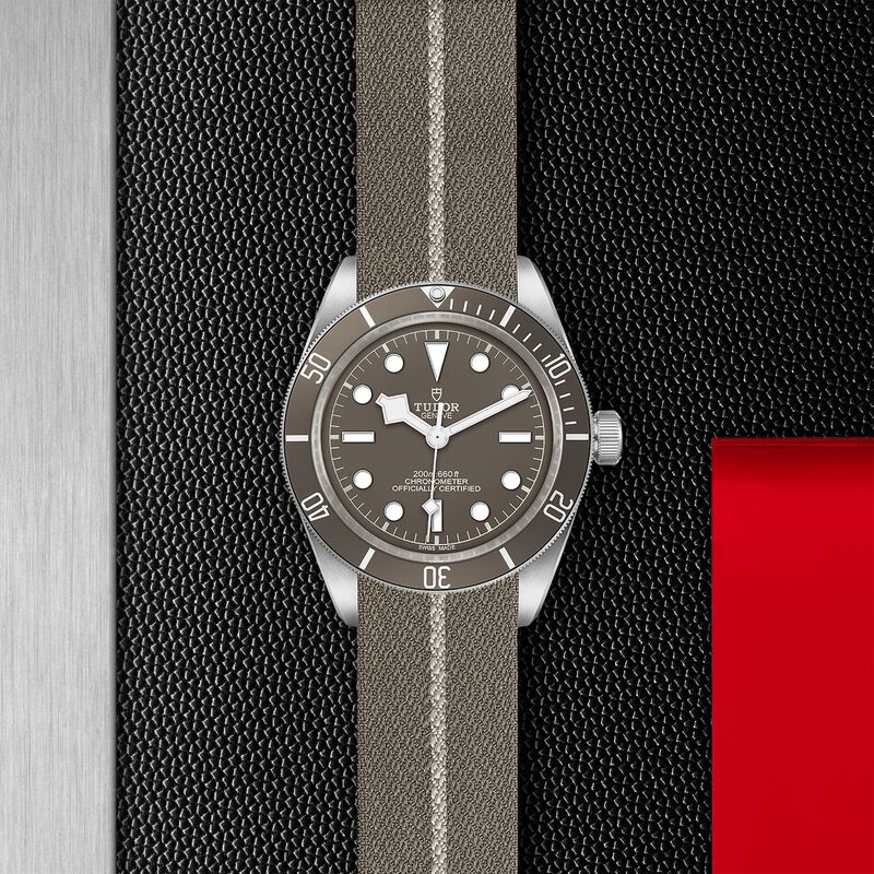 TUDOR Black Bay Fifty-Eight 925 Watch Silver Case Taupe Dial Fabric Strap, 39mm image number 2