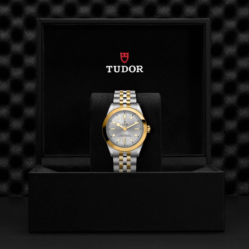 TUDOR Black Bay One 39 S&G Silver Dial Watch, 39mm image number 4