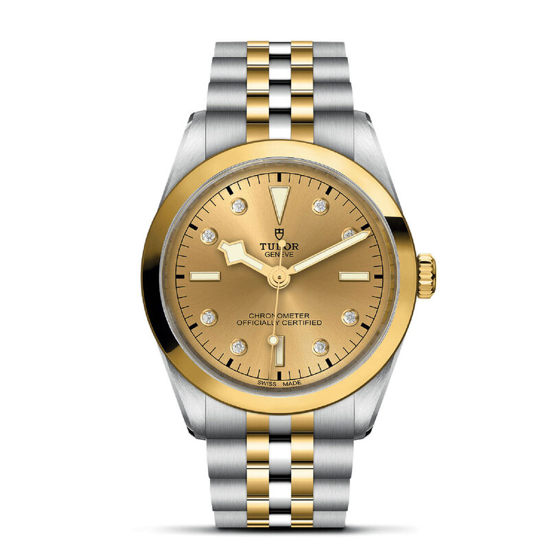 TUDOR Black Bay 36 S&G image number 0