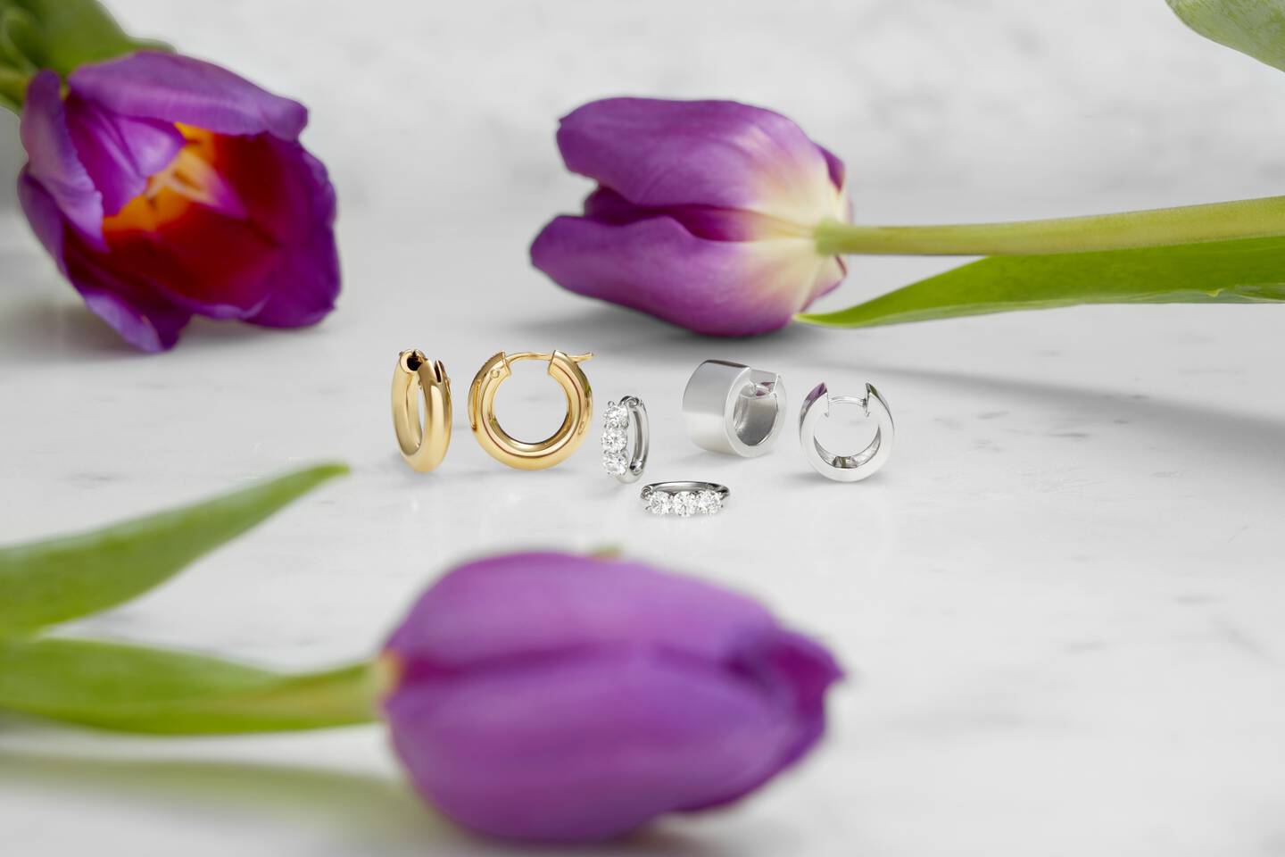 Hoop earrings in yellow and white gold against a white background surrounded by purple tulips. 