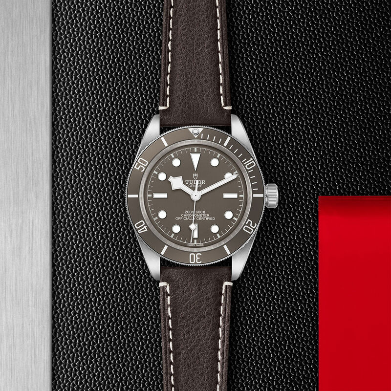 TUDOR Black Bay 58 925 Taupe Dial Watch, 39mm image number 2