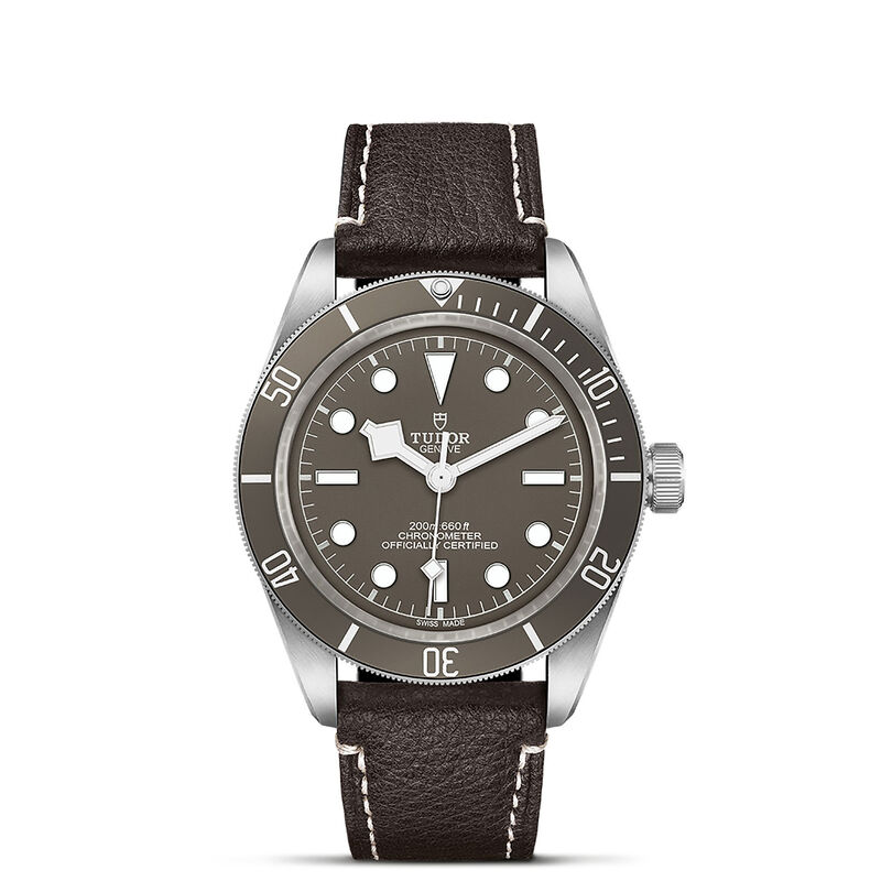 TUDOR Black Bay 58 925 Taupe Dial Watch, 39mm image number 0