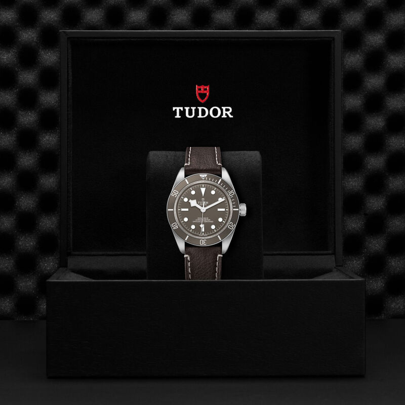 TUDOR Black Bay 58 925 Taupe Dial Watch, 39mm image number 4