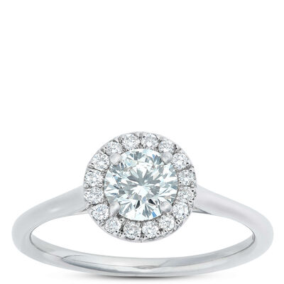 Ben Bridge Signature Diamond Halo Ring 18K