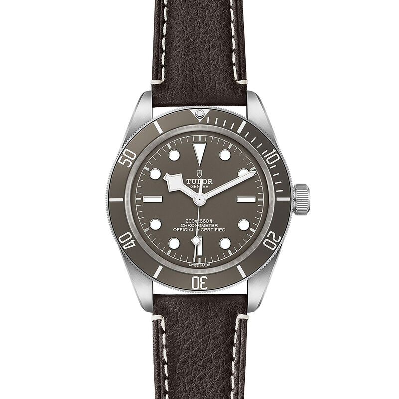 TUDOR Black Bay 58 925 Taupe Dial Watch, 39mm image number 1