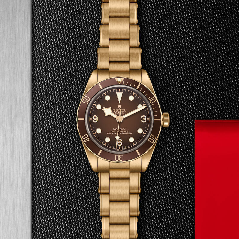 TUDOR Black Bay 58 Bronze Bronze Dial Watch, 39mm image number 2