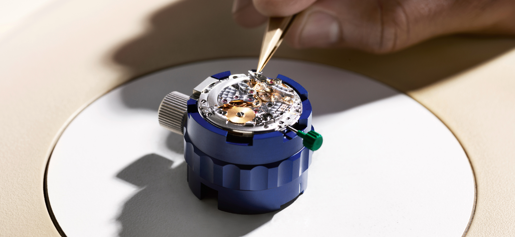 Rolex inspect watch