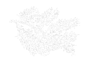 Illustration of sprig