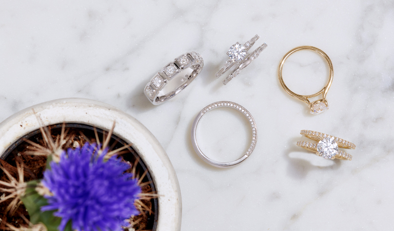 Explore All Bella Ponte