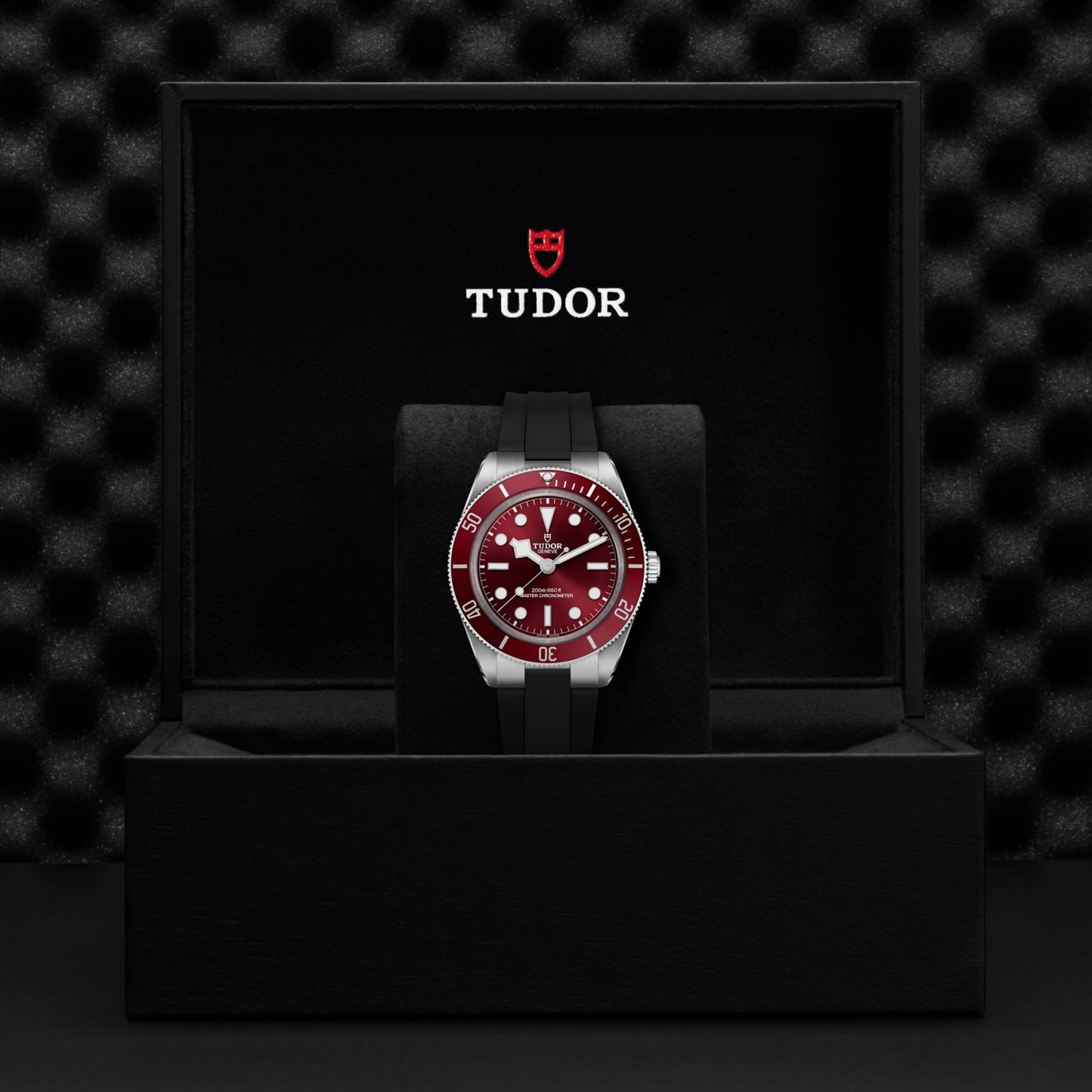 TUDOR Black Bay 58 Burgundy Dial Watch, 39mm