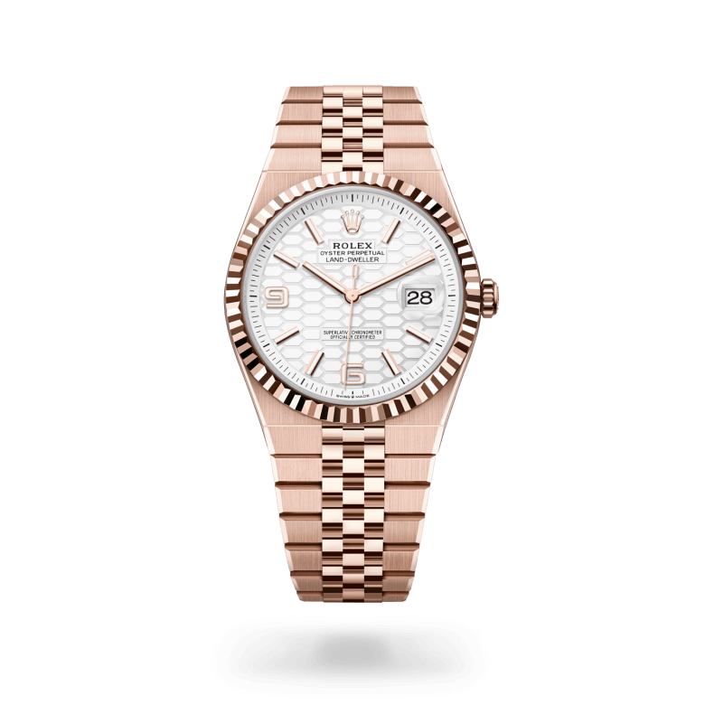 rolex land-dweller in 18 ct everose gold, m127335-0001 - ben bridge