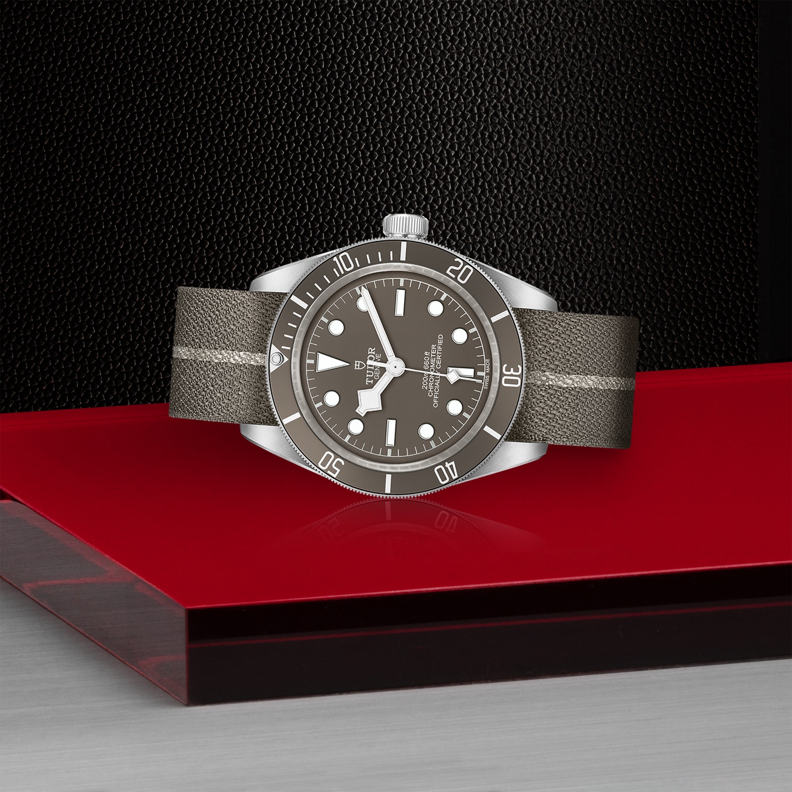 TUDOR Black Bay 58 925 Taupe Dial Watch, 39mm