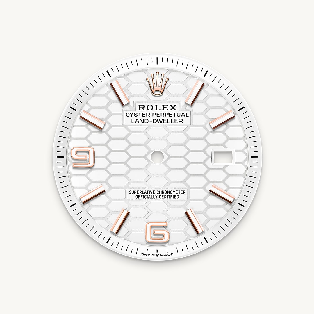 rolex land-dweller in 18 ct everose gold, m127335-0001 - intense white dial - ben bridge
