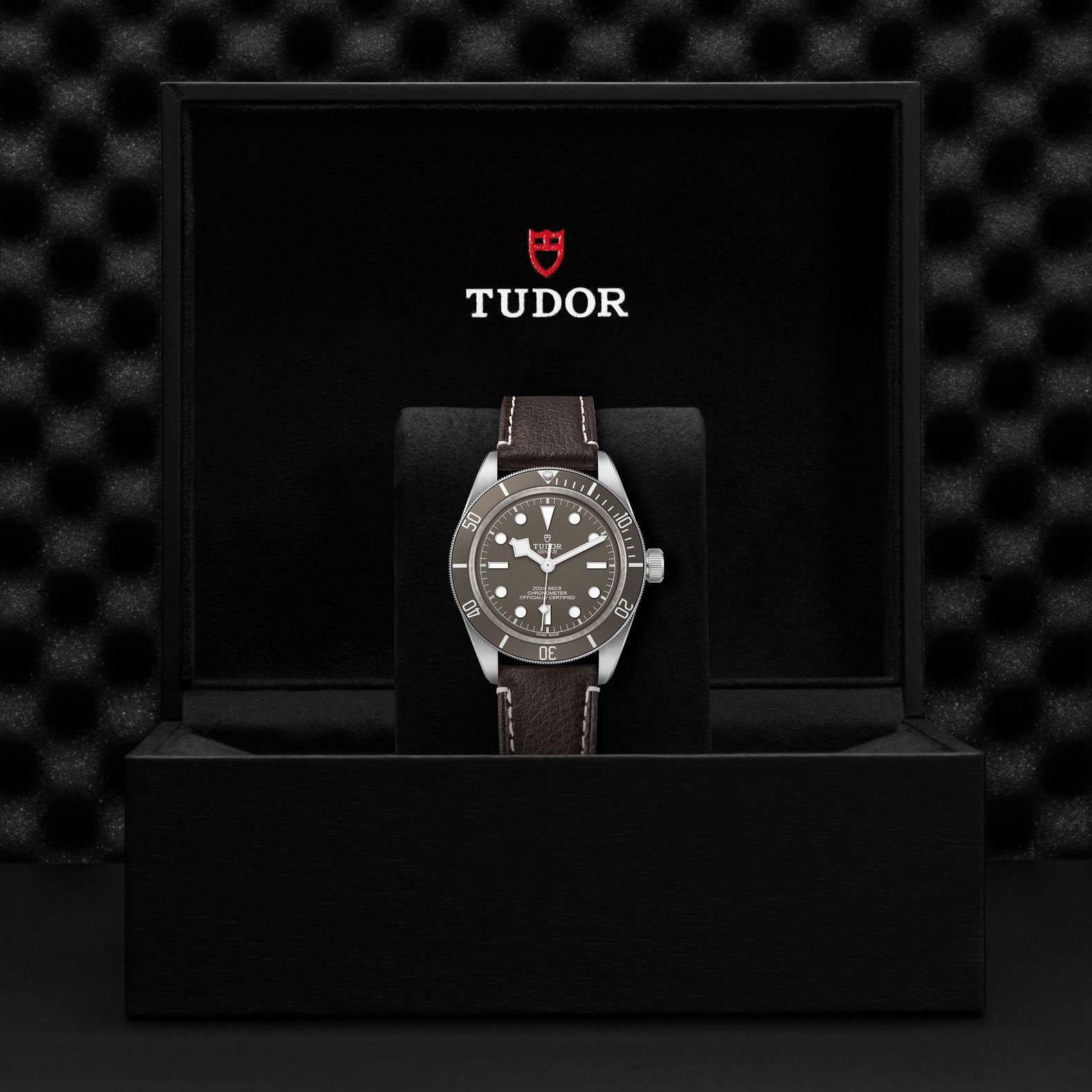 TUDOR Black Bay 58 925 Taupe Dial Watch, 39mm