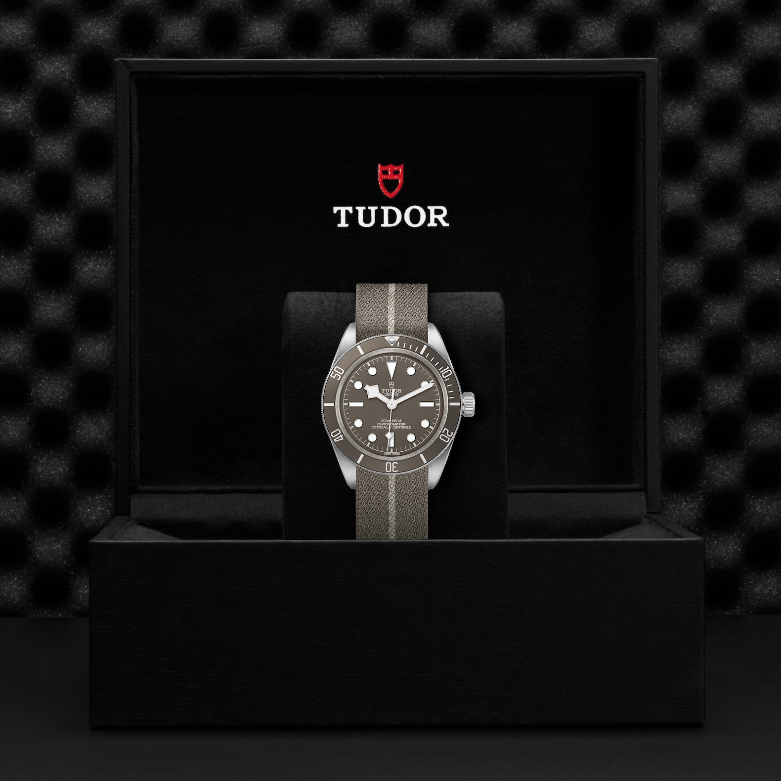 TUDOR Black Bay 58 925 Taupe Dial Watch, 39mm
