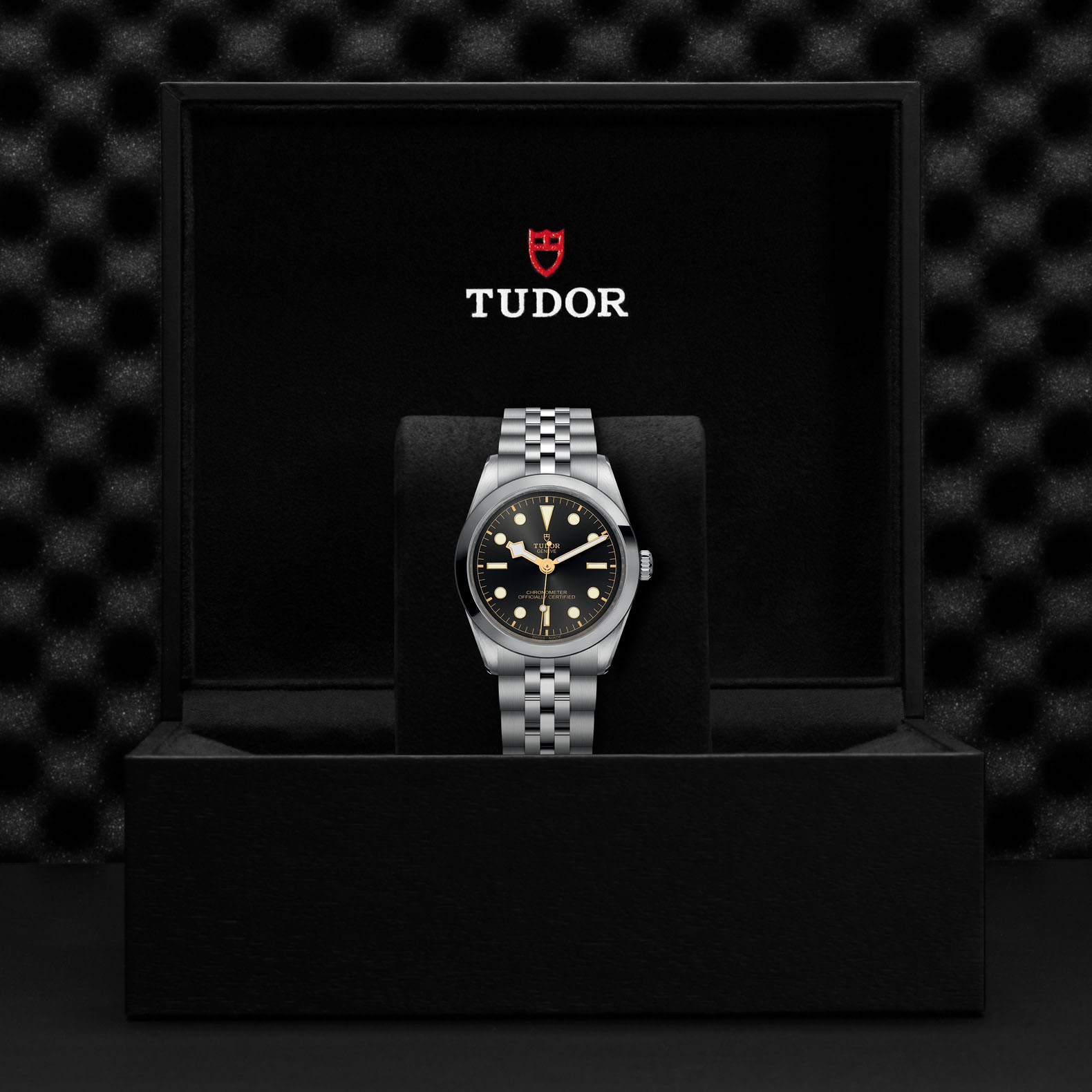 TUDOR Black Bay One 36 Anthracite  Dial Watch, 36mm