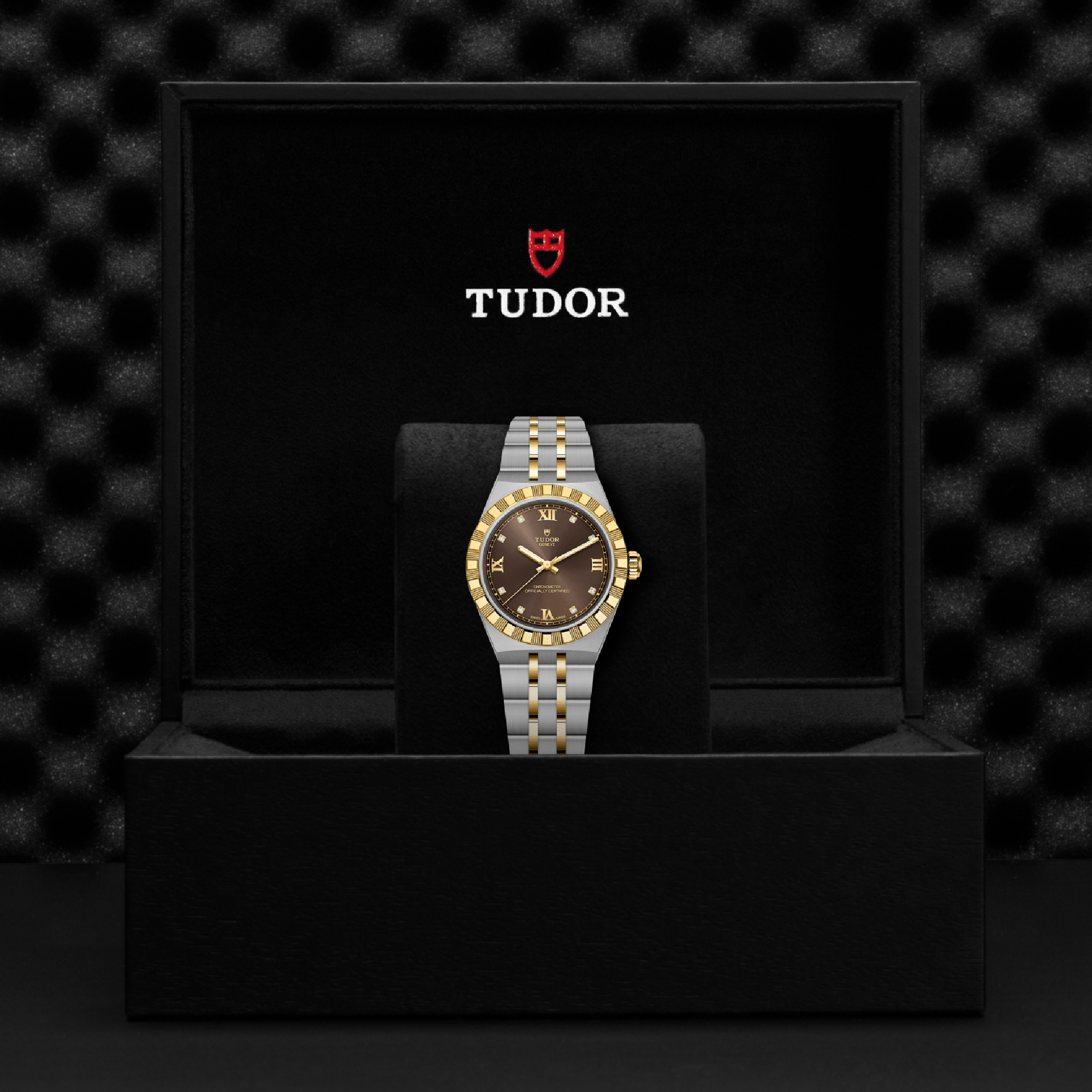 TUDOR Royal Brown Dial Watch, 30mm
