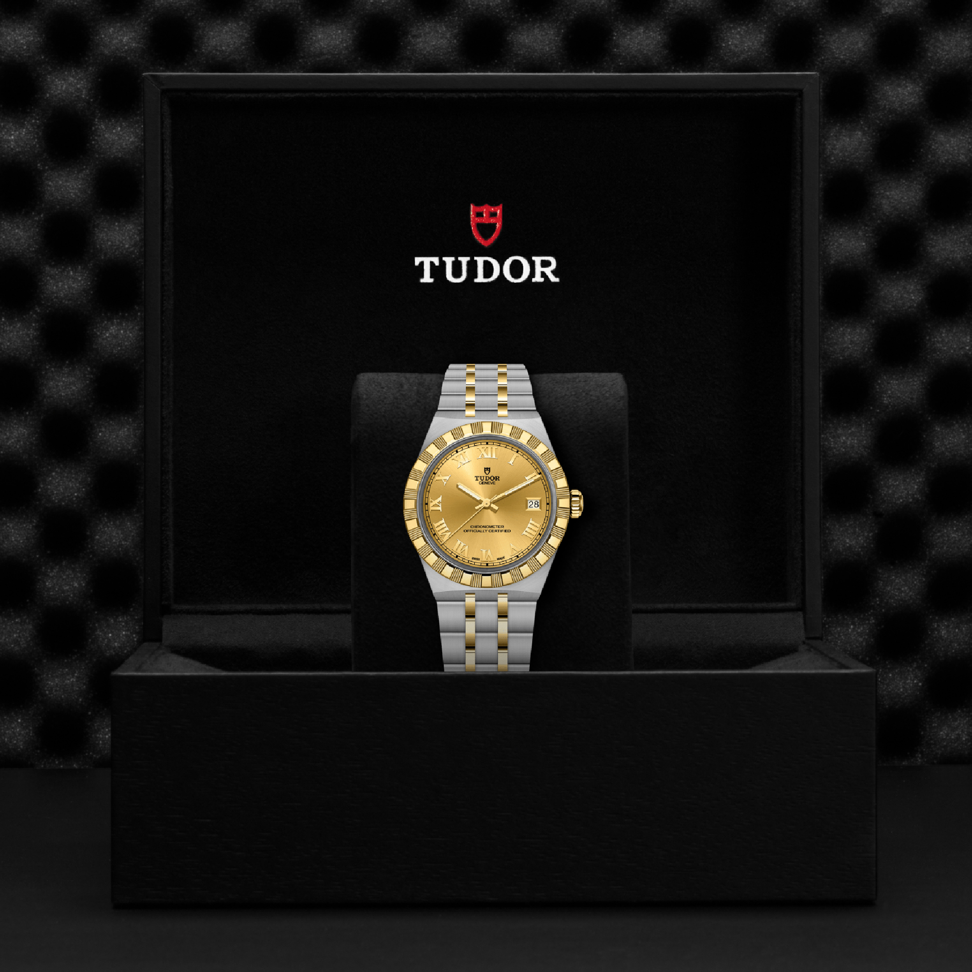 TUDOR Royal Gold Dial Watch, 36mm