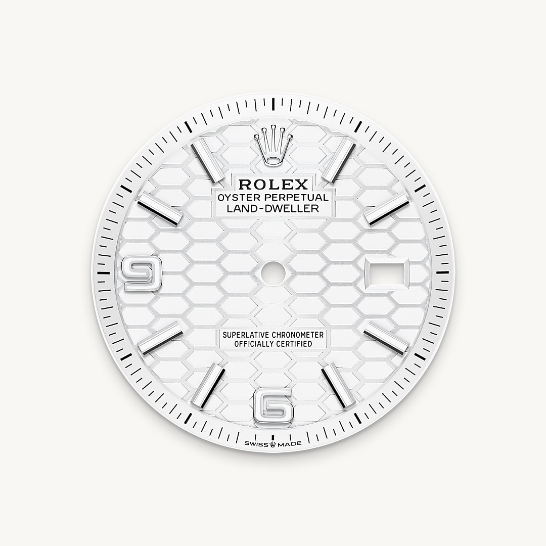 rolex land-dweller in white rolesor - combination of oystersteel and white gold, m127234-0001 - intense white dial - ben bridge